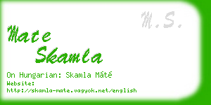 mate skamla business card