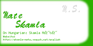 mate skamla business card